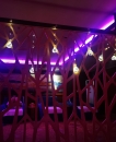 踩雷后在ZL919找回情绪价值