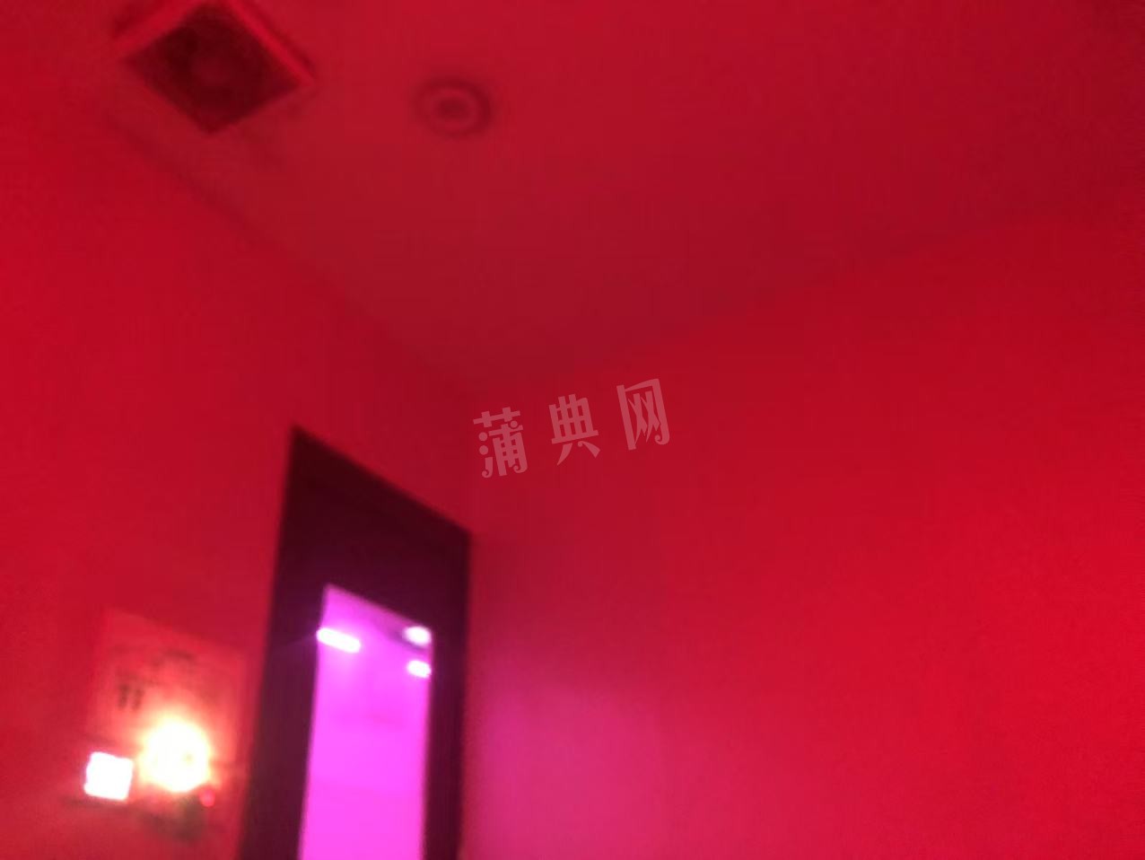 86E0A148-02F0-4AF9-85BF-FB04B29F0393.jpeg